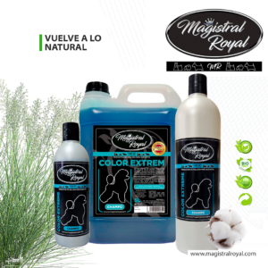 Champú Color Extrem | Champú pelo blanco, negro o dorado