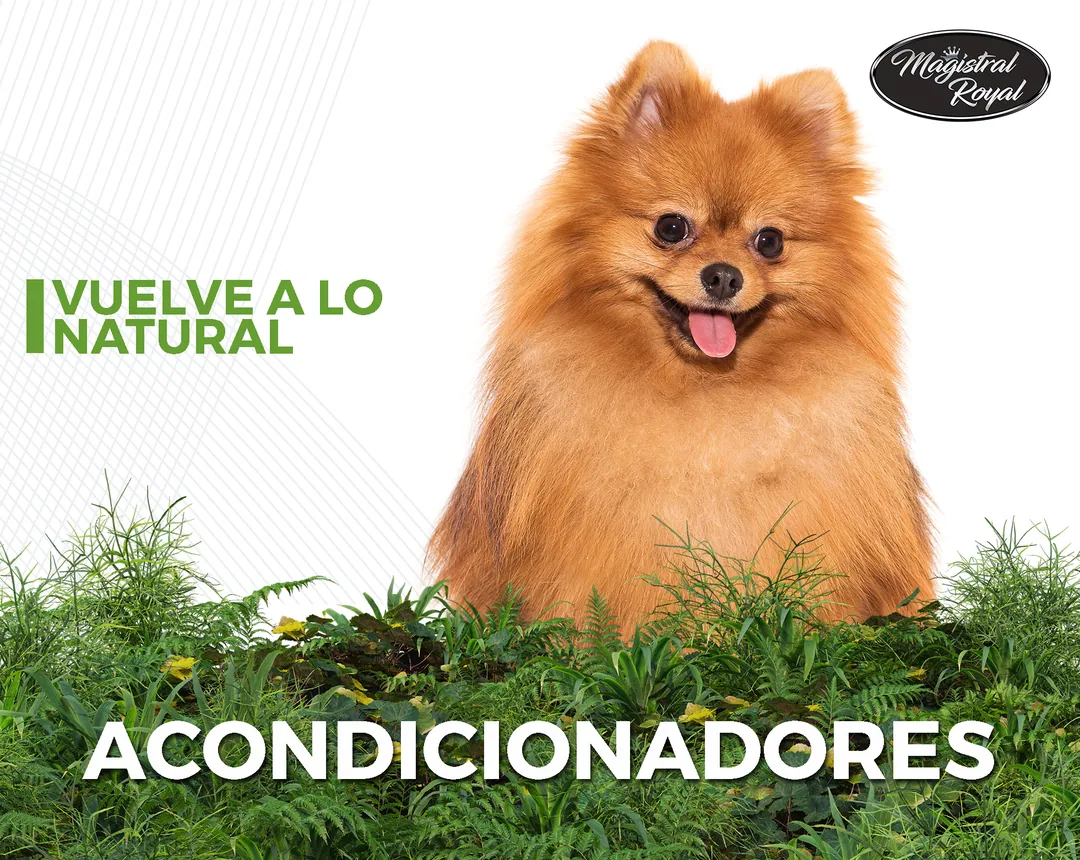 Acondicionadores para perros y gatos con ingredientes naturales fabricados en España