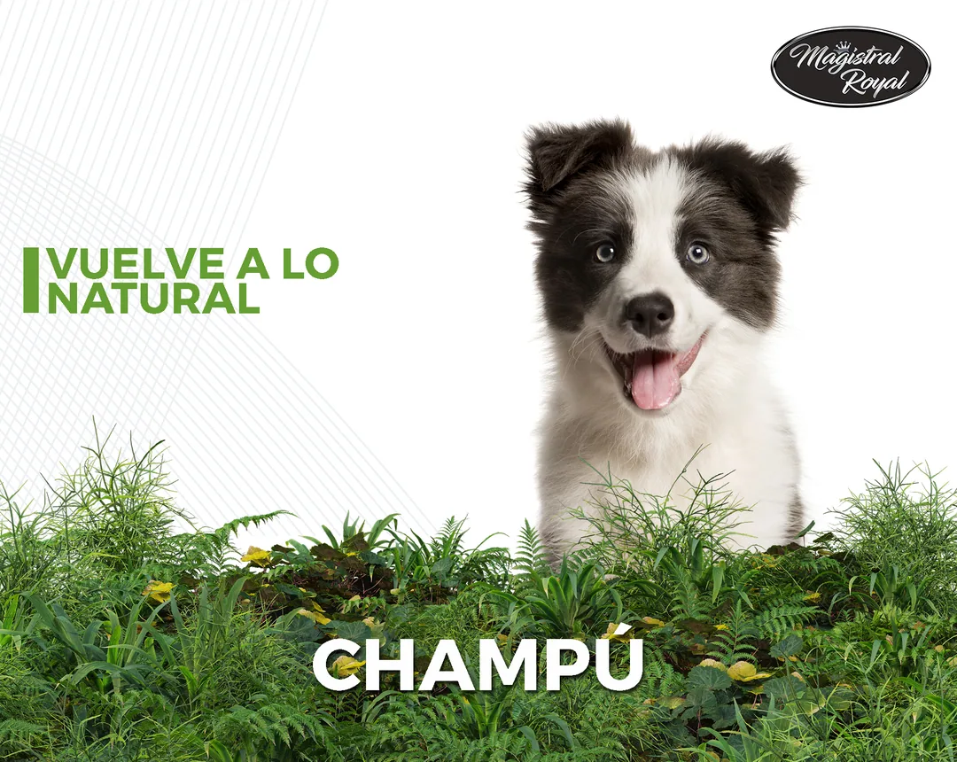 Champús para perros y gatos con ingredientes naturales y fabricado en España