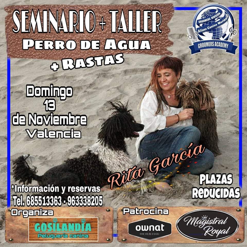 Evento de peluquería canina con la raza perros de agua español, patrocinado por Magistral royal, los mejores productos para mascotas, perros y gatos