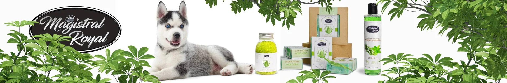Productos para el cuidado del pelo y la piel de las mascotas