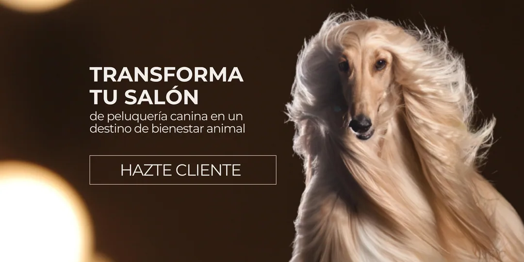 Bienestar animal en un salón de peluquería canina