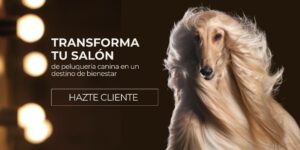 Los mejores productos para mascotas Magistral Royal