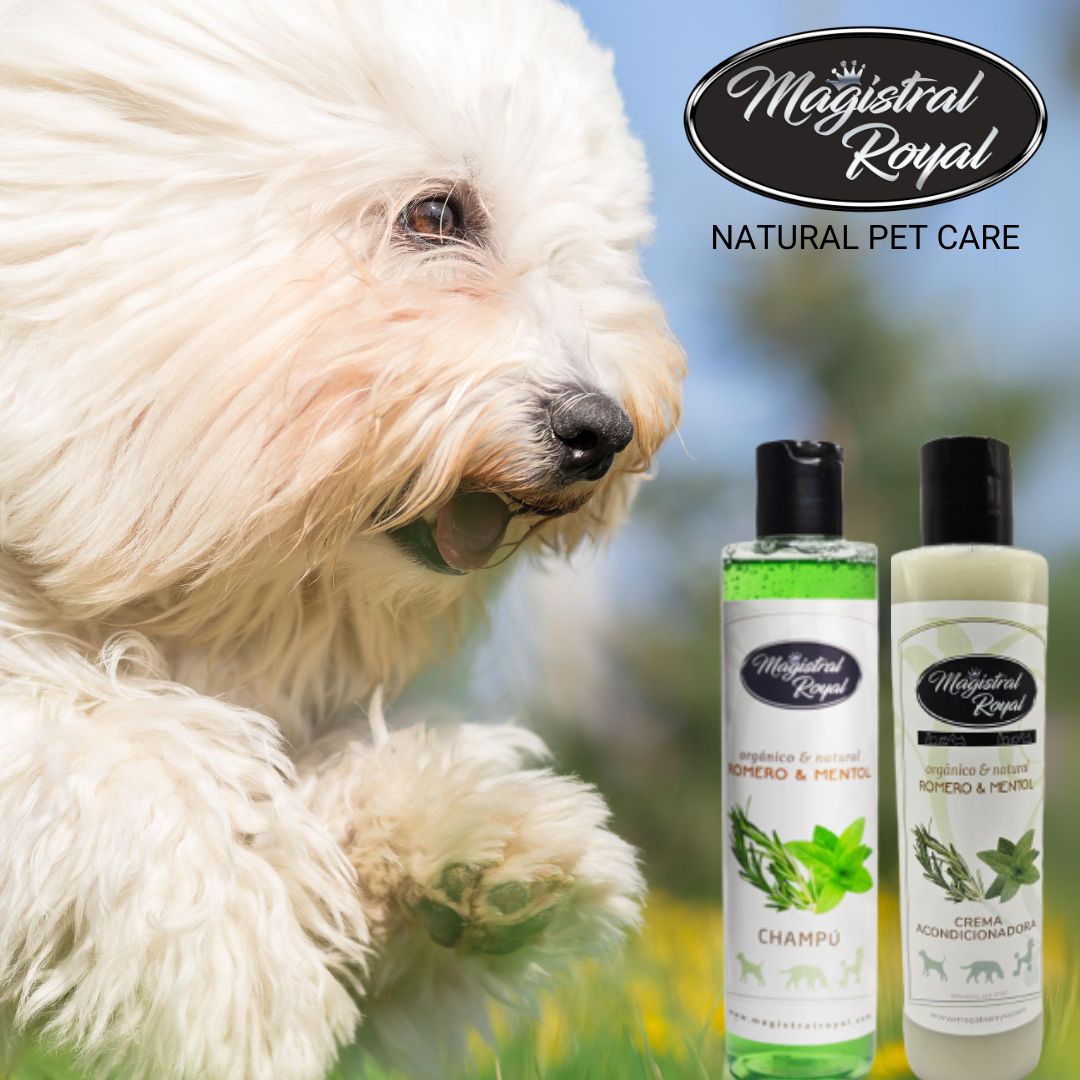 Este ingrediente, se ha utilizado durante mucho tiempo en productos para el cuidado personal y la medicina debido a sus propiedades refrescantes y analgésicas y Magistral Royal lo ha sabido adaptar para el mundo de las mascotas.