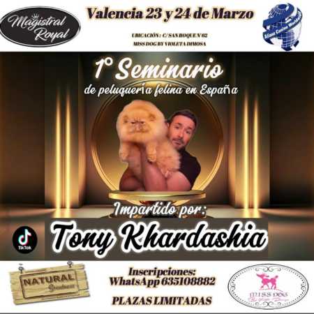 1er Seminario de Peluquería Felina en España con Tony Khardashia - 23 y 24 de marzo de 2024 - Miss Dog by Violet Dimosa: C/ San Roque 62 - Valencia - Inscripciones WhatsApp 635 108 882 - Plazas Limitadas