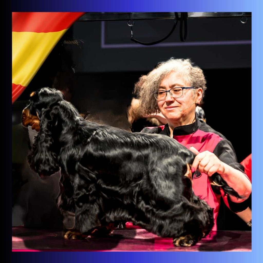 Olga de Diego ha obtenido múltiples medallas en campeonatos de peluquería canina, destacando sus éxitos con Cocker Spaniels Ingleses en eventos nacionales e internacionales.