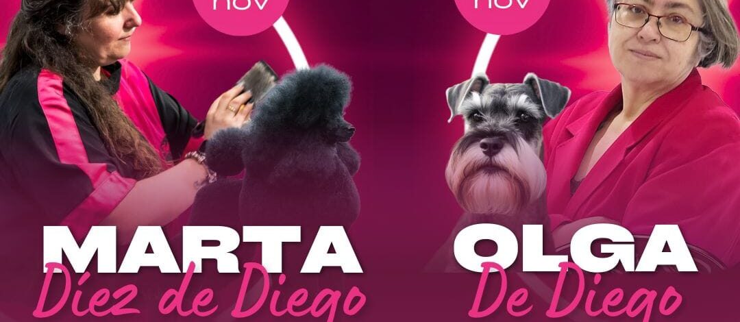 Seminario peluqueria canina Almeria