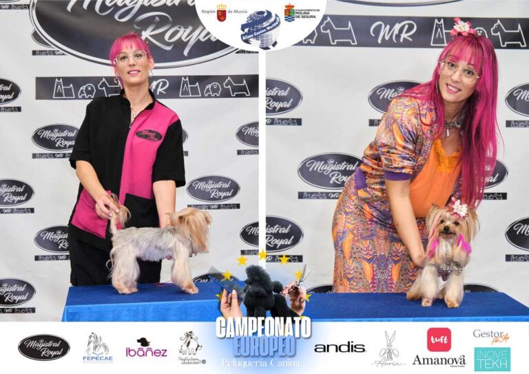 Campeonato Europeo Peluquería canina el antes y el despues categorias Asian Style Relevos Parejas Spaniels
