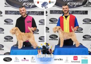 Campeonato Europeo Peluquería Canina el antes y después de la competición