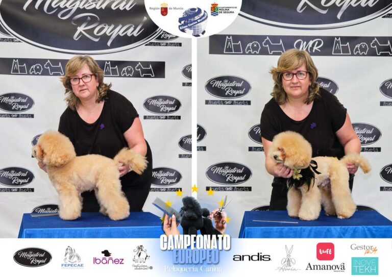 Campeonato Europeo Peluquería canina el antes y el despues categorias Asian Style Relevos Parejas Spaniels