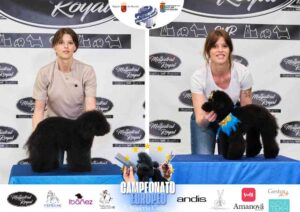 Campeonato Europeo Peluquería Canina el antes y después de la competición