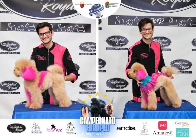 Campeonato Europeo Peluquería canina el antes y el despues categorias Asian Style Relevos Parejas Spaniels