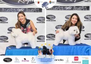 Campeonato Europeo Peluquería Canina el antes y después de la competición