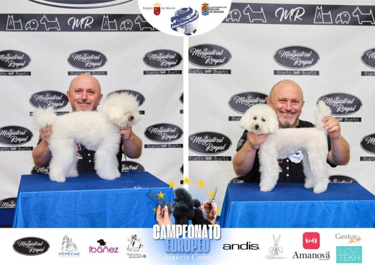 Campeonato Europeo Peluquería canina el antes y el despues categorias Asian Style Relevos Parejas Spaniels