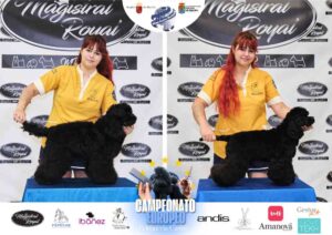 Campeonato Europeo Peluquería Canina el antes y después de la competición