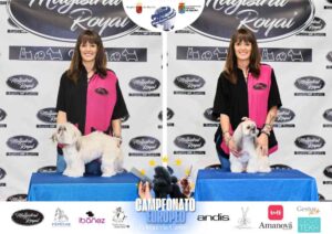 Campeonato Europeo Peluquería Canina el antes y después de la competición