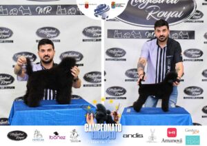 Arreglos del antes y después del Campeonato de peluquería canina 2024 Fotos del domingo categorías Caniches Penteados Creativo