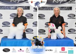 Campeonato Europeo Peluquería Canina el antes y después de la competición