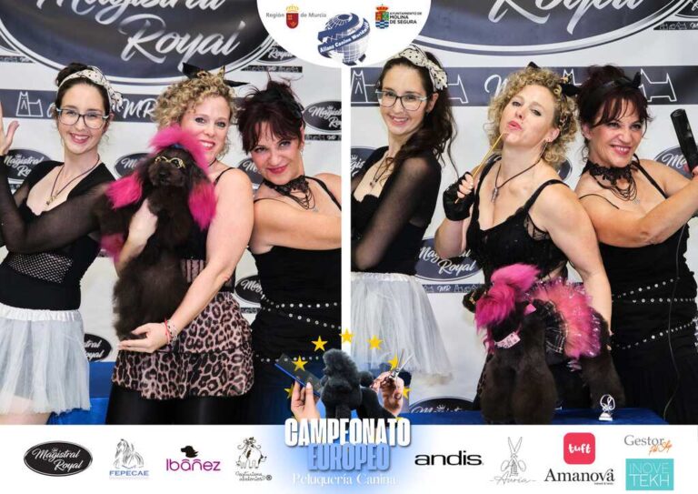 Campeonato Europeo Peluquería canina el antes y el despues categorias Asian Style Relevos Parejas Spaniels