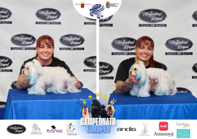 Campeonato Europeo Peluquería canina el antes y el despues categorias Asian Style Relevos Parejas Spaniels