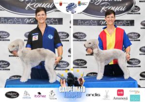 Olga Plana en Campeonato Europeo Peluquería Canina el antes y después de la competición