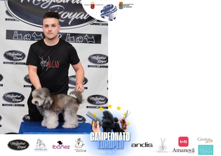 Campeonato Europeo Peluquería canina el antes y el despues categorias Asian Style Relevos Parejas Spaniels