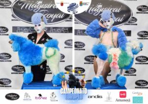 Arreglos del antes y después del Campeonato de peluquería canina 2024 Fotos del domingo categorías Caniches Penteados Creativo