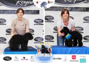 Campeonato Europeo Peluquería Canina el antes y después de la competición