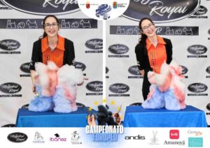 Campeonato Europeo Peluquería Canina el antes y después de la competición