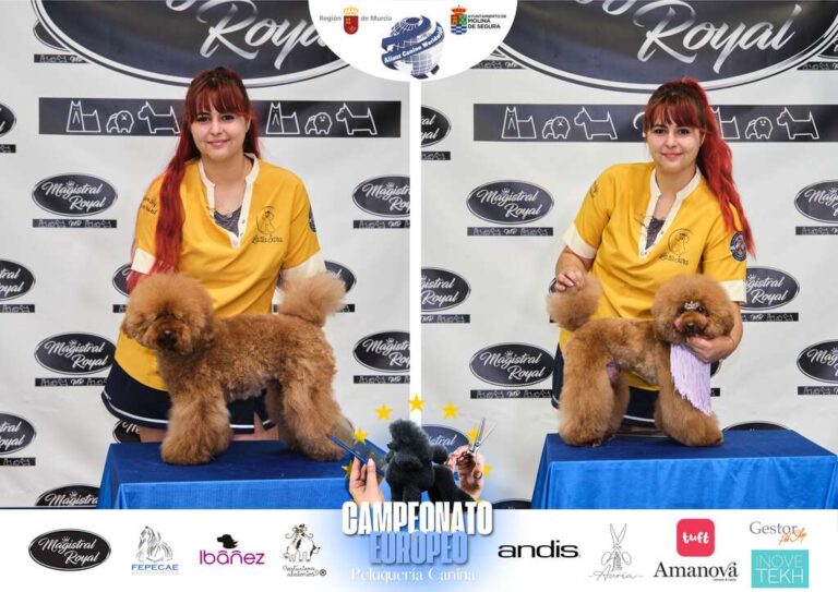 Campeonato Europeo Peluquería canina el antes y el despues categorias Asian Style Relevos Parejas Spaniels