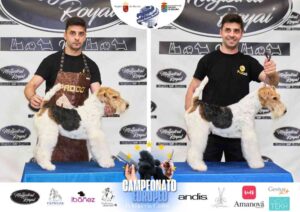 Campeonato Europeo Peluquería Canina el antes y después de la competición