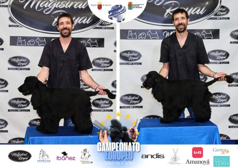 Campeonato Europeo Peluquería canina el antes y el despues categorias Asian Style Relevos Parejas Spaniels