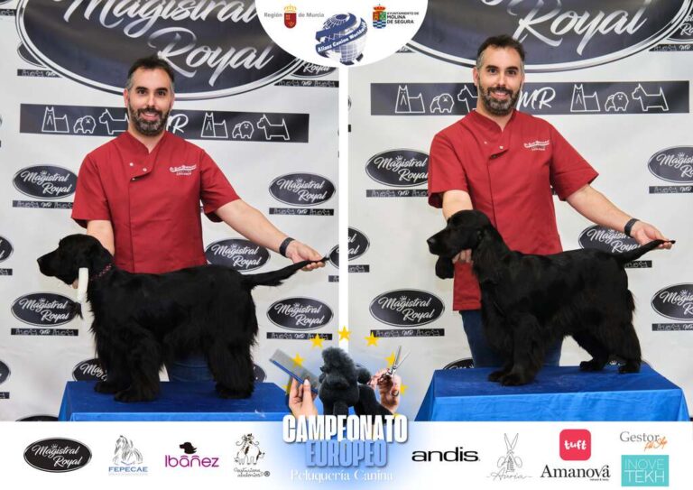 Campeonato Europeo Peluquería canina el antes y el despues categorias Asian Style Relevos Parejas Spaniels