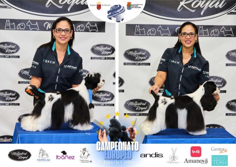 Campeonato Europeo Peluquería canina el antes y el despues categorias Asian Style Relevos Parejas Spaniels