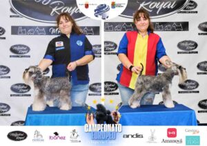 Marta Diez en Campeonato Europeo Peluquería Canina el antes y después de la competición