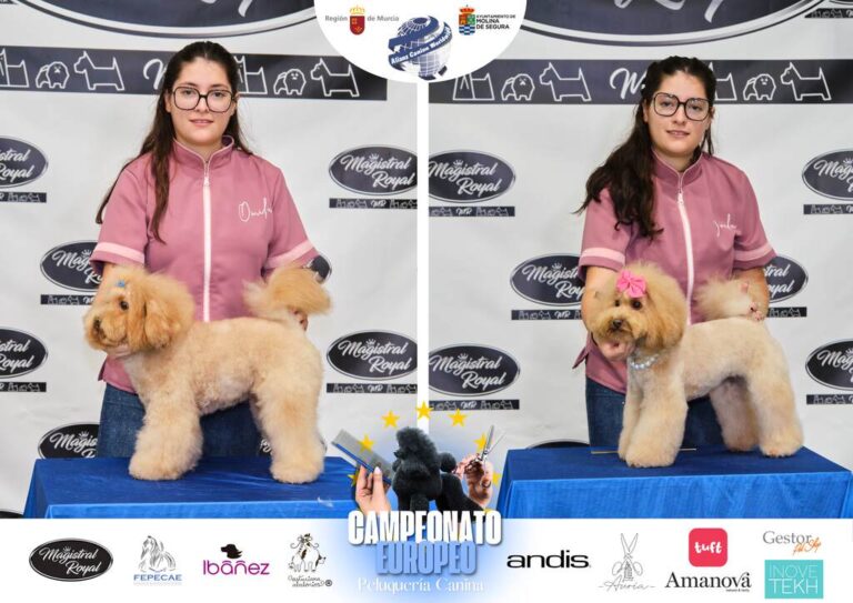 Asian Style Relevos Parejas Spaniels