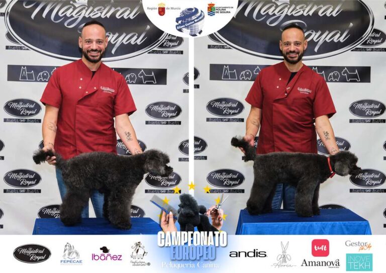 Campeonato Europeo Peluquería canina el antes y el despues categorias Asian Style Relevos Parejas Spaniels