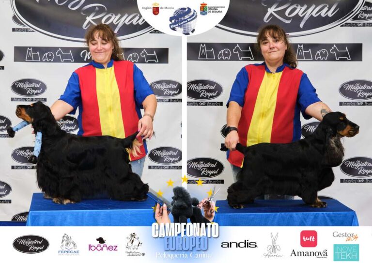 Campeonato Europeo Peluquería canina el antes y el despues categorias Asian Style Relevos Parejas Spaniels