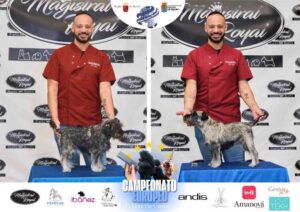 Campeonato Europeo Peluquería Canina el antes y después de la competición