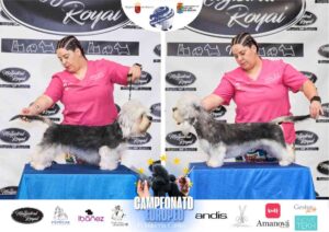 Campeonato Europeo Peluquería Canina el antes y después de la competición