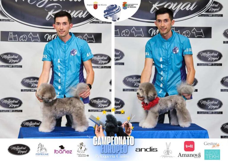 Campeonato Europeo Peluquería canina el antes y el despues categorias Asian Style Relevos Parejas Spaniels