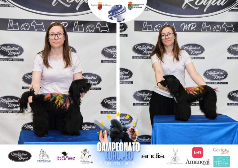 Campeonato Europeo Peluquería canina el antes y el despues categorias Asian Style Relevos Parejas Spaniels