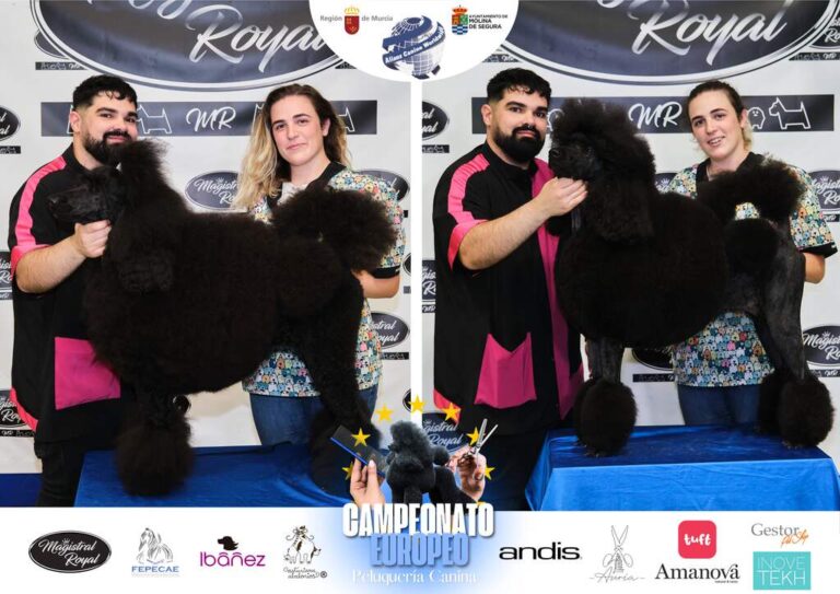 Campeonato Europeo Peluquería canina el antes y el despues categorias Asian Style Relevos Parejas Spaniels