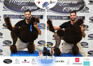 Arreglos del antes y después del Campeonato de peluquería canina 2024 Fotos del domingo categorías Caniches Penteados Creativo