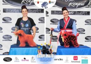 Campeonato Europeo Peluquería Canina el antes y después de la competición