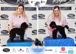Campeonato Europeo Peluquería Canina el antes y después de la competición