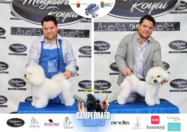 Campeonato Europeo Peluquería canina el antes y el despues categorias Asian Style Relevos Parejas Spaniels