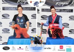Campeonato Europeo Peluquería Canina el antes y después de la competición