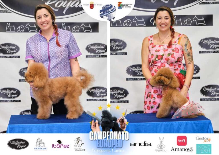Campeonato Europeo Peluquería canina el antes y el despues categorias Asian Style Relevos Parejas Spaniels