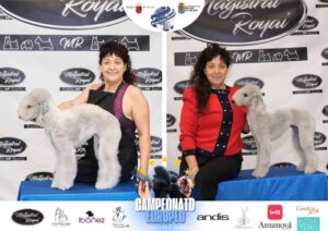 Ruth Sapinya Campeonato Europeo Peluquería Canina el antes y después de la competición
